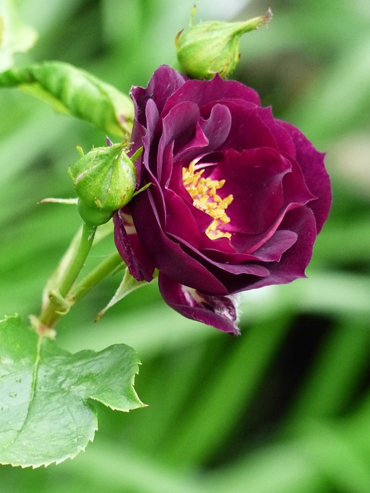 Tag der offenen Tür: Entdecken Sie das Bildungsangebot in Perg!