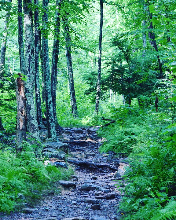 Tag der offenen Tür: PTS Prutz gewährt Einblicke in den Schulalltag