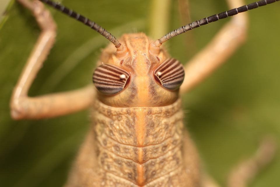 Tanktipps für NÖ: So finden Sie die günstigsten Preise täglich!