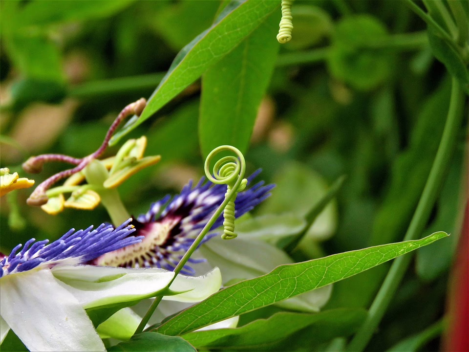Tipps zur Pubertät: Psychologin Pezzi beleuchtet Herausforderungen