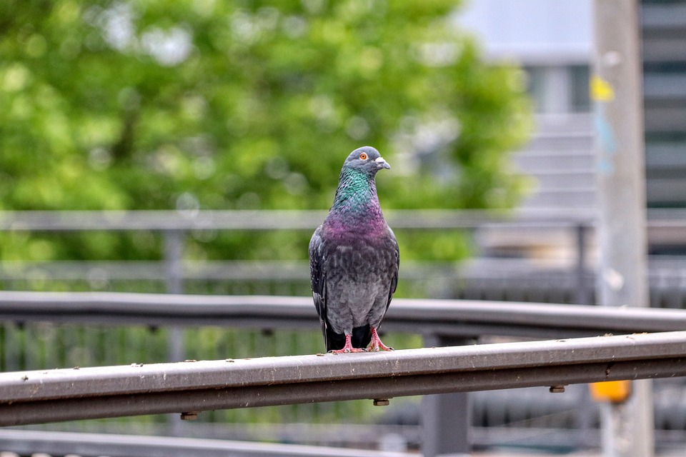 Tödlicher Tauchunfall in Feldkirchen: Suche endet tragisch [embed]https://www.youtube.com/watch?v=NzOvZNHw8fM[/embed]