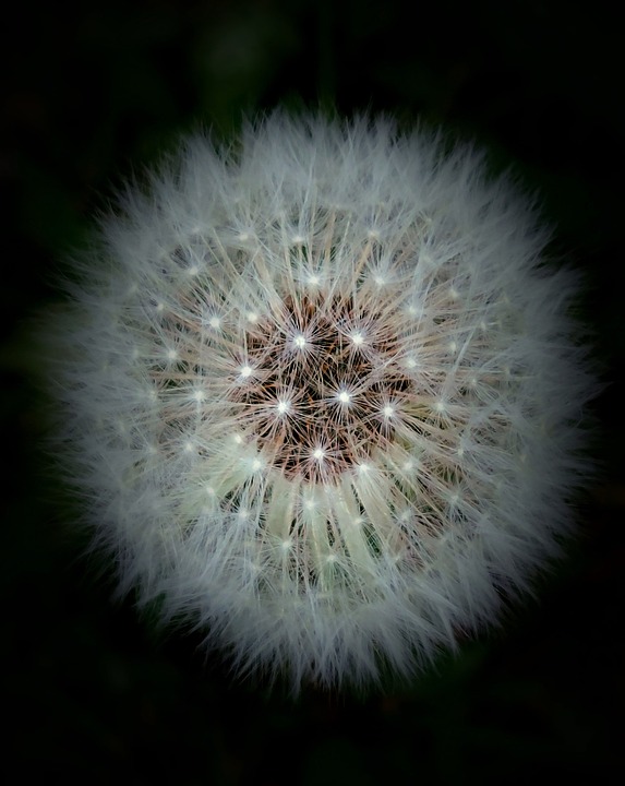 Tödlicher Unfall in Haid: 81-Jährige von Lkw erfasst und verstorben