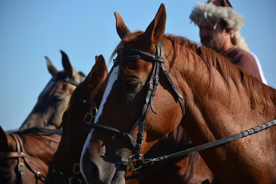Tradition lebt: Sautanz begeistert über 250 Gäste in Donnerskirchen