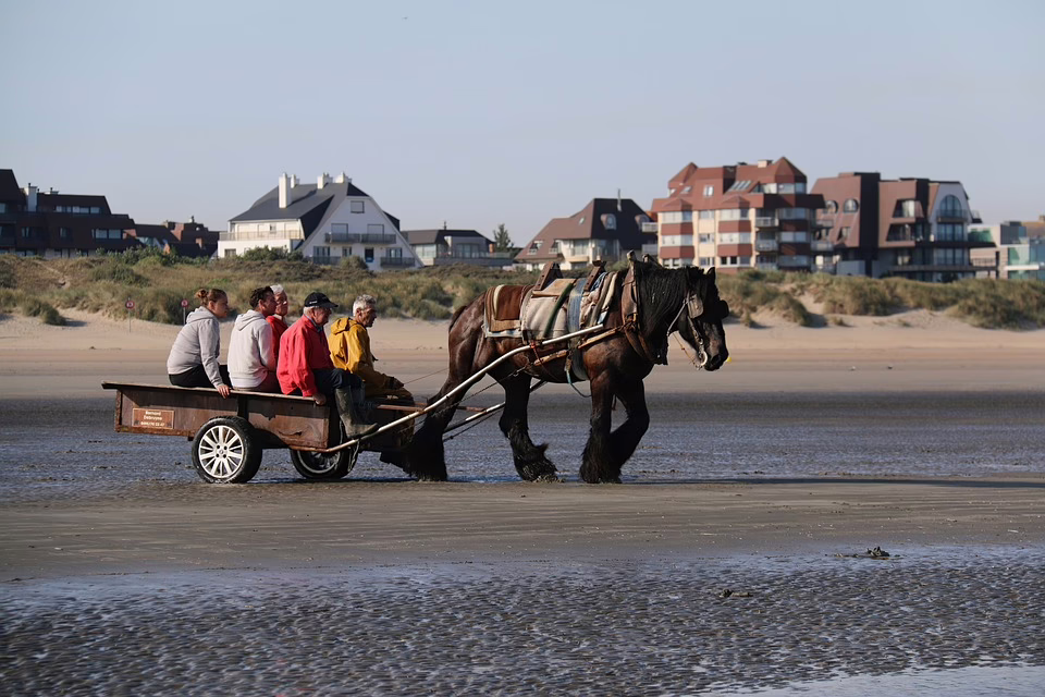 Tradition trifft Vielfalt: Das Martinikonzert in Rudersdorf begeistert