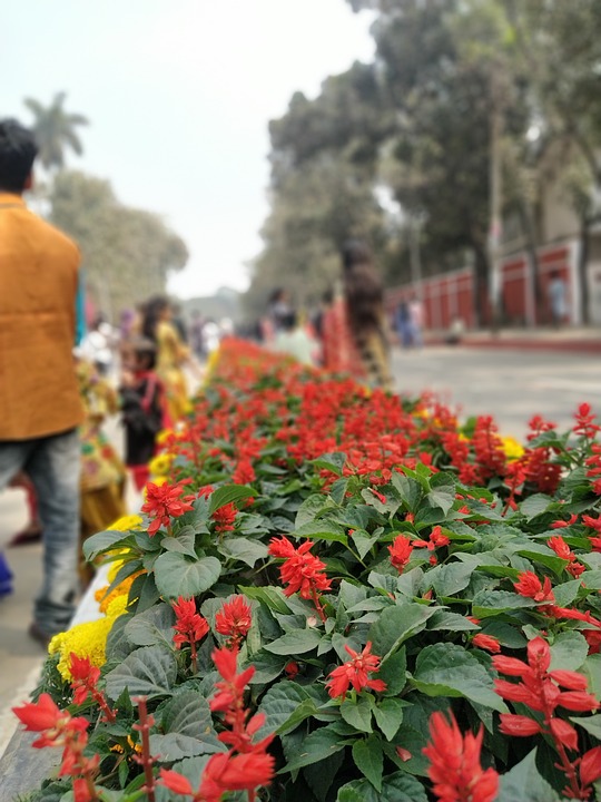 Tragischer Lkw-Unfall in Micheldorf: Autofahrer hat keine Chance