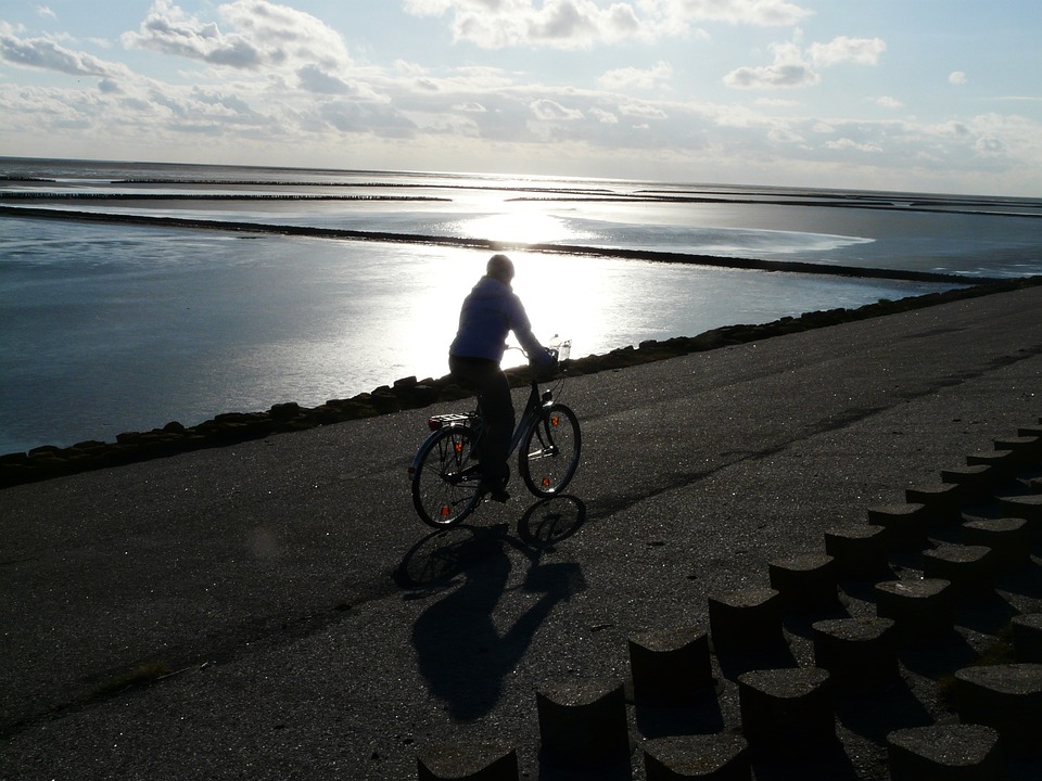 Tragischer Unfall in Wien-Donaustadt: Radlerin stirbt beim Überqueren der Gleise