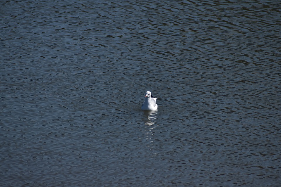 Tragischer Vorfall: Lebloses Kind in Wien-Favoriten entdeckt