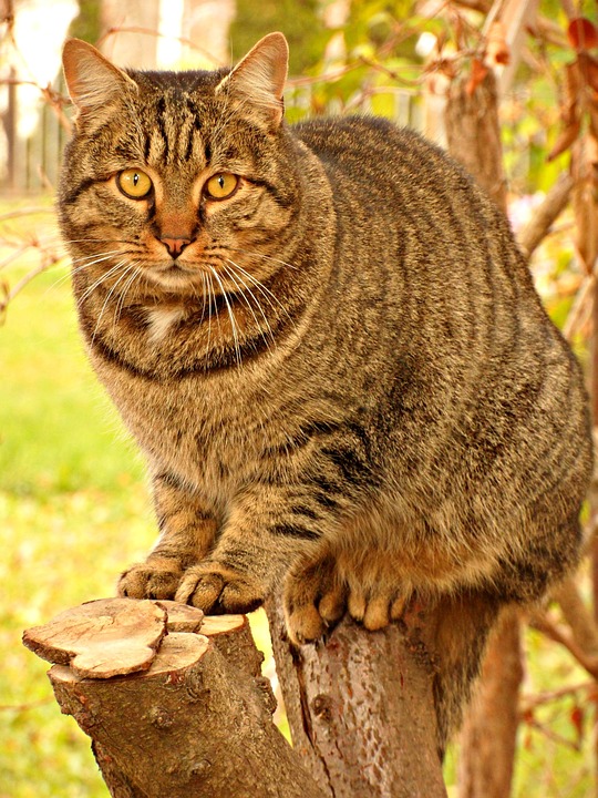 Tragischer Vorfall in Favoriten: Kind tot aufgefunden