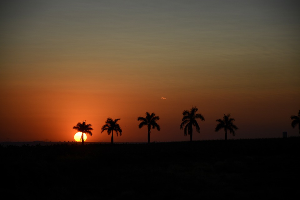 Tragisches Ende: Vermisstes Baby aus Klinik Favoriten tot aufgefunden