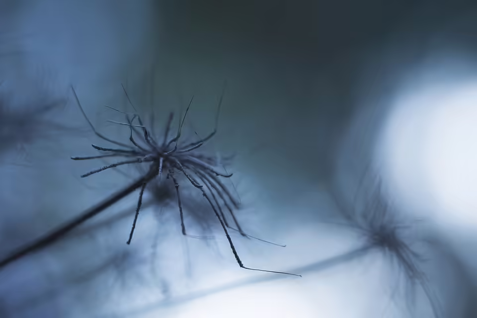 Tragisches Unglück in Grafenstein: Bruder bei Schießübung schwer verletzt