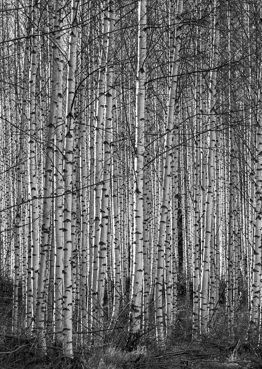 Trunkener Lkw-Fahrer verursacht Chaos auf der Südautobahn”