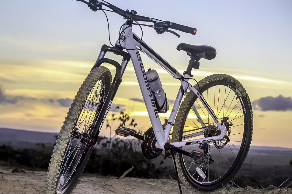 UCI Gran Fondo Weltmeisterschaft 2029 am Neusiedler See: Das größte Rad-Event in Österreichs Radland!