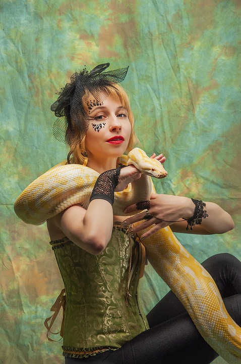 UFC Rohrbach-Berg: Trainer Eisschiel plant Rückrunde mit Neuzugängen