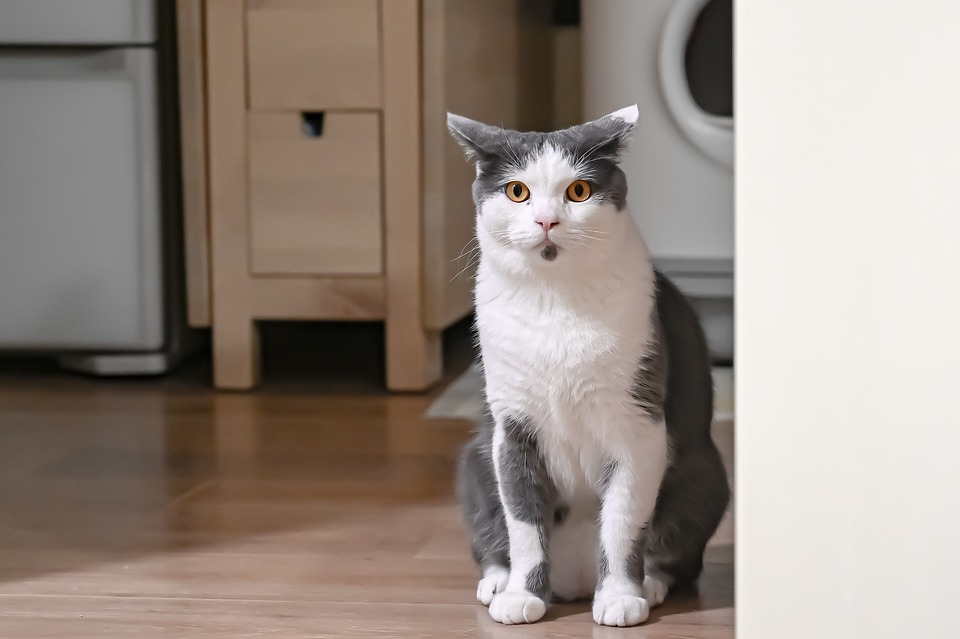 Überraschung in Fohnsdorf: Helmut Tscharre als SPÖ-Spitzenkandidat