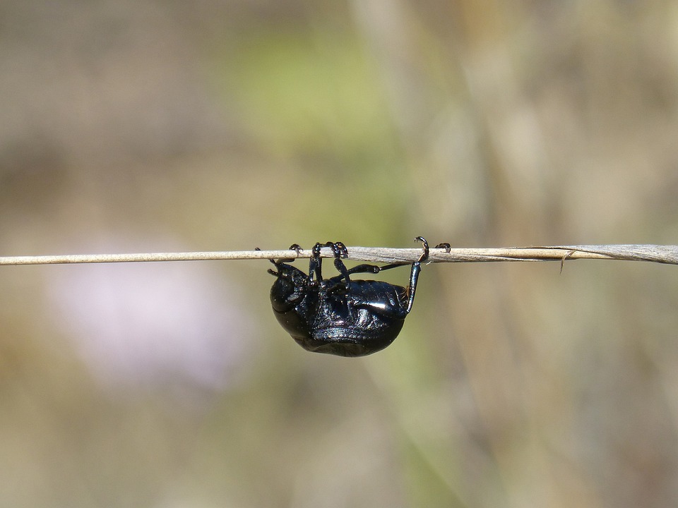 Umgekehrter Adventskalender: Gemeinsam Gutes tun im Advent
