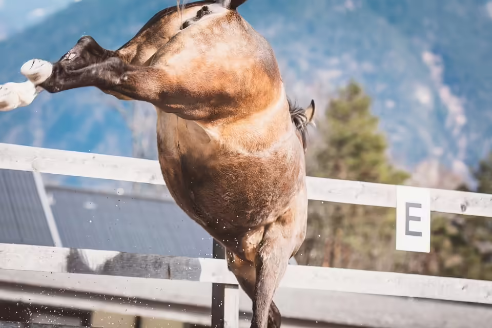 Ungestüme Nachbarn: Kritik an der Wiener Erklärung von Orban und Kickl