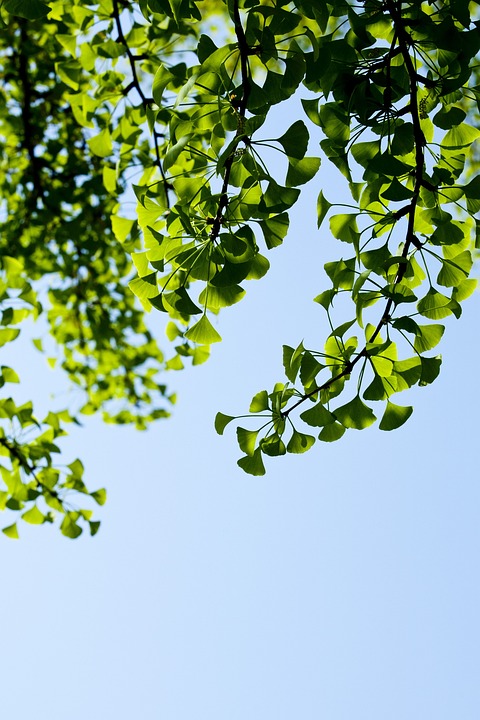 Union Shotokan Karate Do Oberpullendorf dominiert beim Kinder- und Jugendcup