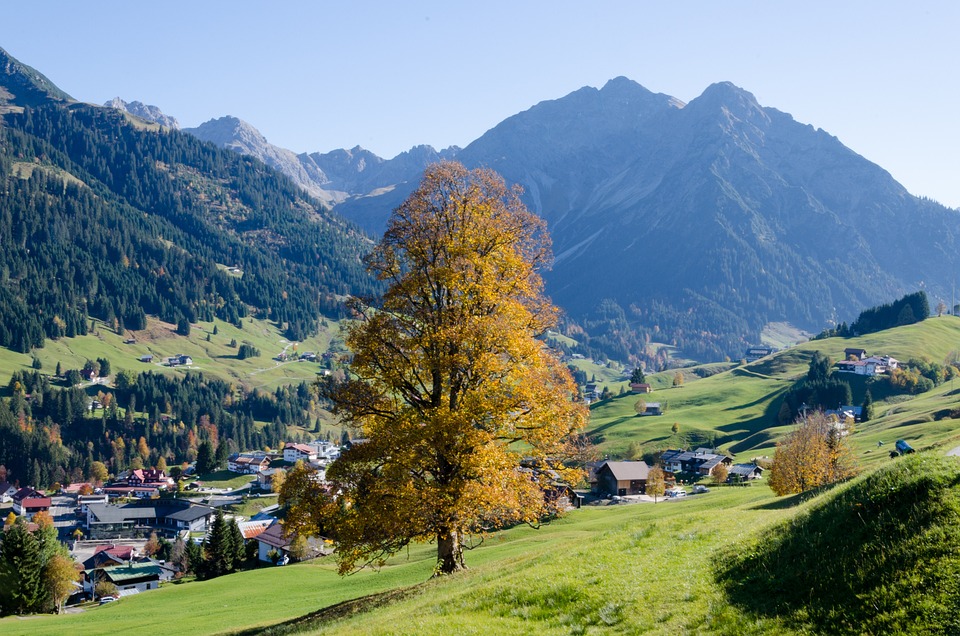 Unvergessliche Lama-Touren in Hirschegg: Naturerlebnisse für alle!
