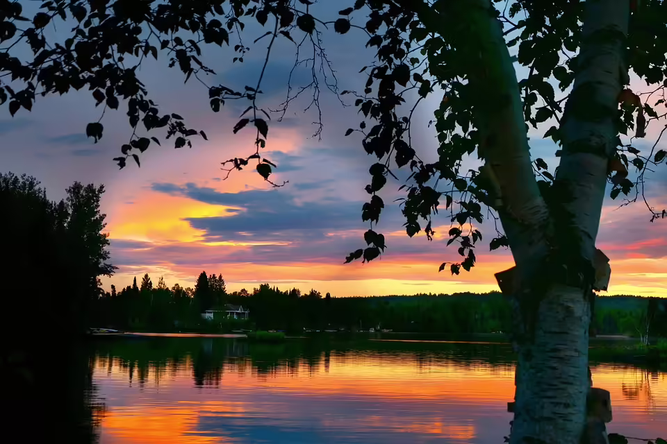 <p><strong>Vegane Vielfalt in Innsbruck: Entdecke pflanzenbasierte Genussorte</strong></p>