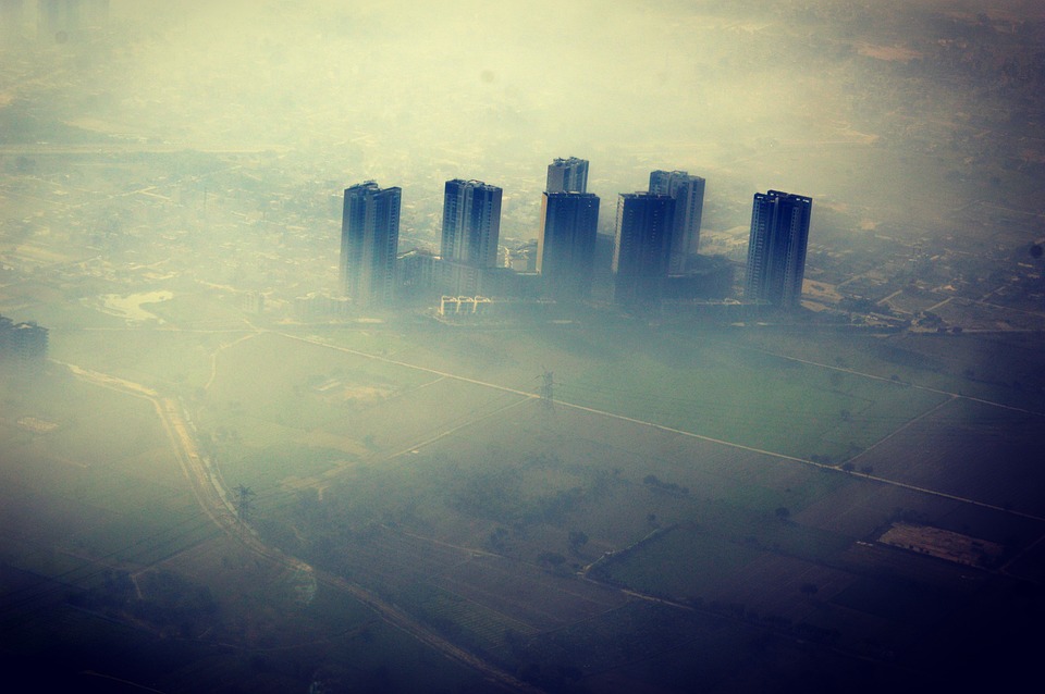 Veranstaltungshighlights in Delhi: November 2024 im Überblick