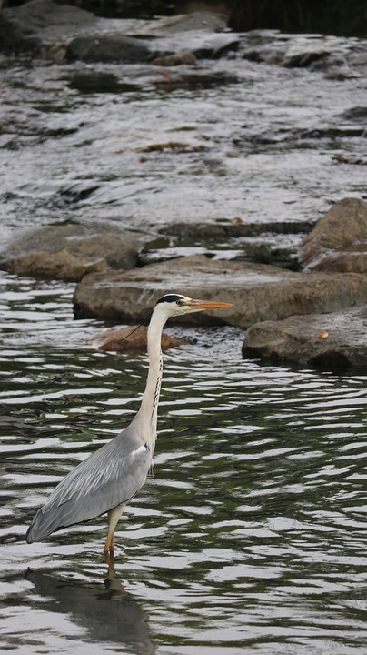 Verein Gaflenz: Ganzjahresprogramm bringt neuen Schwung ins Gemeindeleben