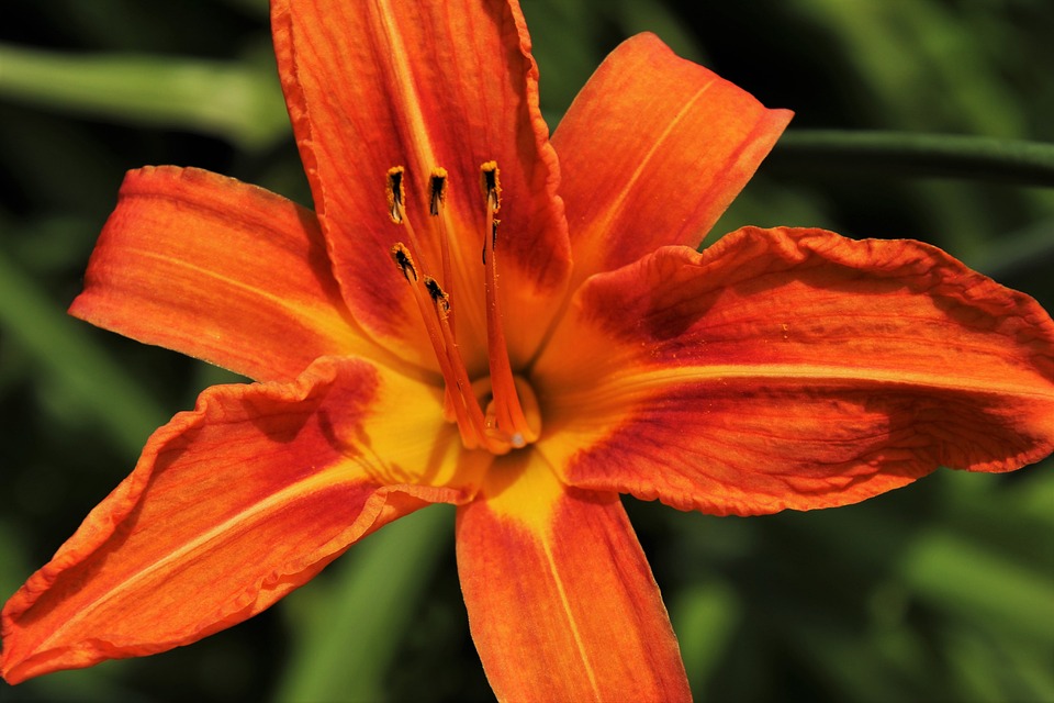 Verkehrsberuhigung in Klingenbach: Pendlerstraße vorübergehend gesperrt