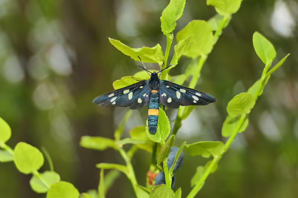 Verkehrschaos in Tirol: Neun Verletzte bei zahlreichen Unfällen
