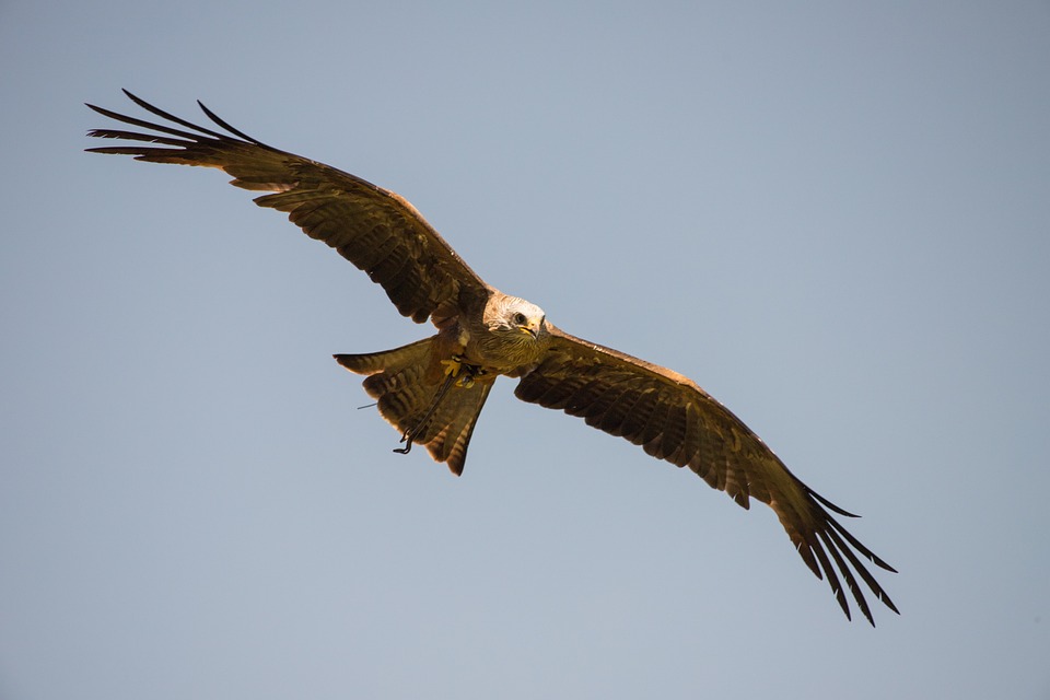 Versuchter Raub in Wien-Margareten: Zwei Männer bedrohen 31-Jährigen