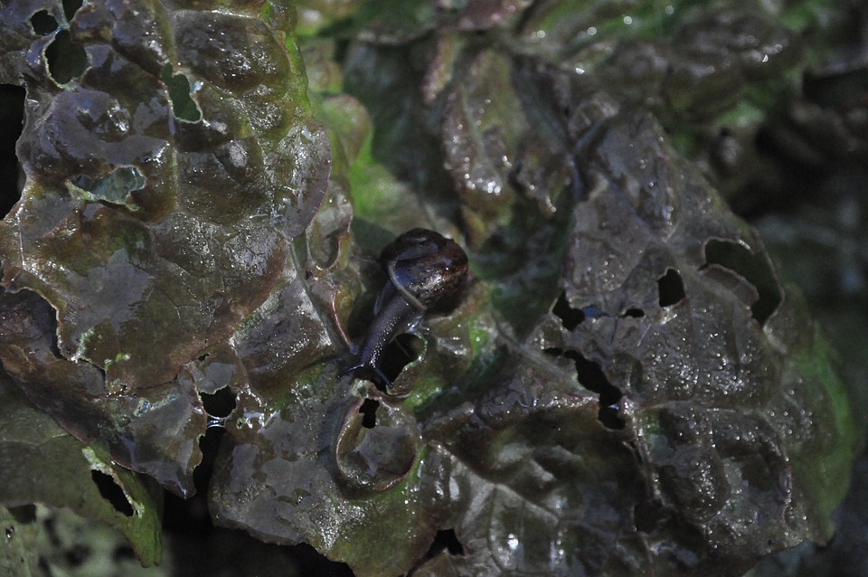 Vielfältige Kulturabende in Salzburg: Theater, Konzerte und mehr!