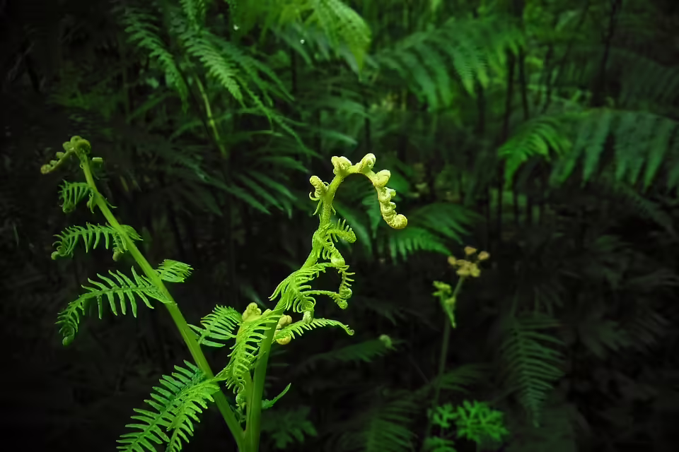 Vielfältige Veranstaltungen: Ein Blick auf den 8. November in unserer Region