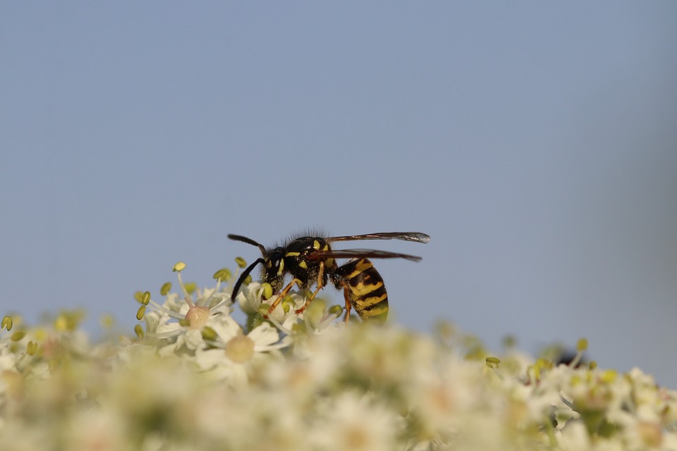 Vielfalt der Stimmen: Interkultureller Poetry Slam in St. Johann