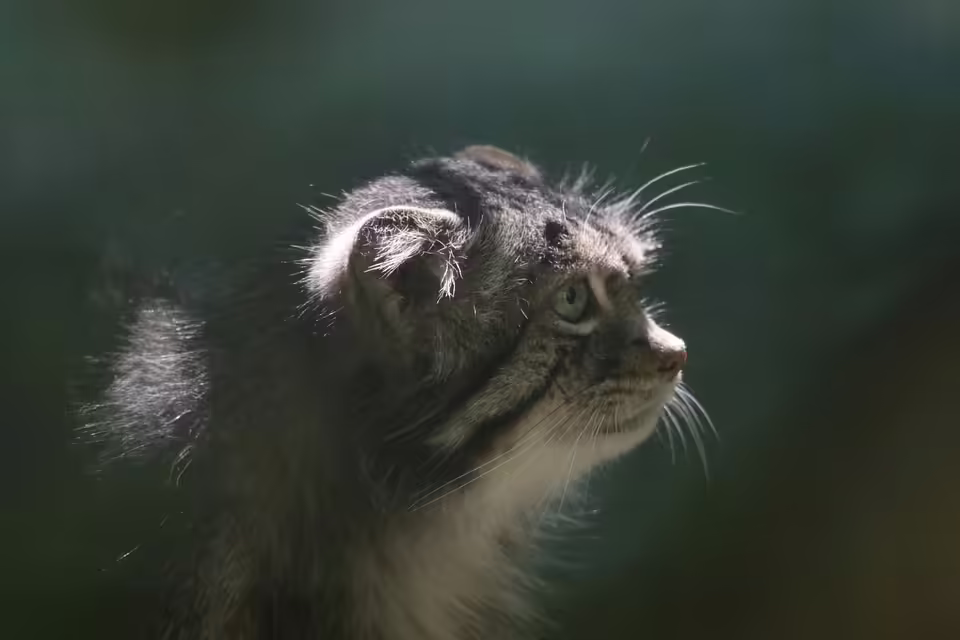 Vielfalt erleben: Landjugend Deutschlandsberg begeistert mit Veranstaltungen