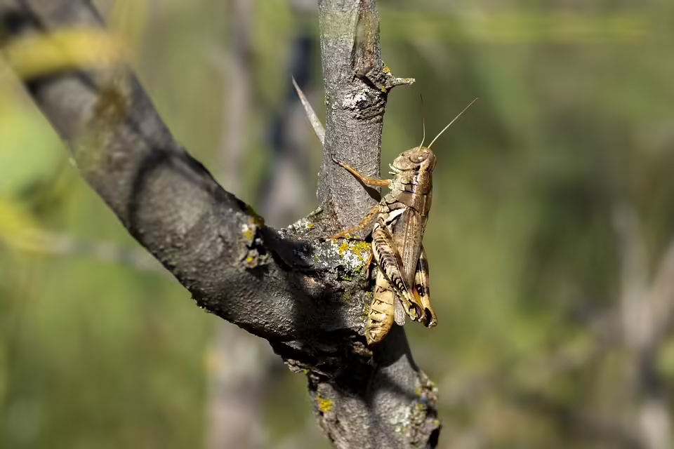 Vielfalt erleben: Veranstaltungen am 8. November in der Region