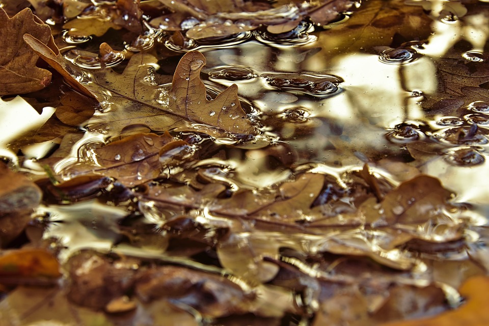 Villach Wettervorhersage: Regen und Schnee in KW 48 erwarten Sie!