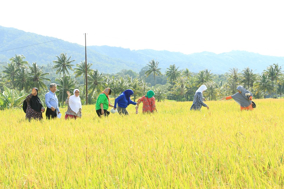 Villach setzt auf Bildung, Infrastruktur und Klimaschutz im Budget 2025