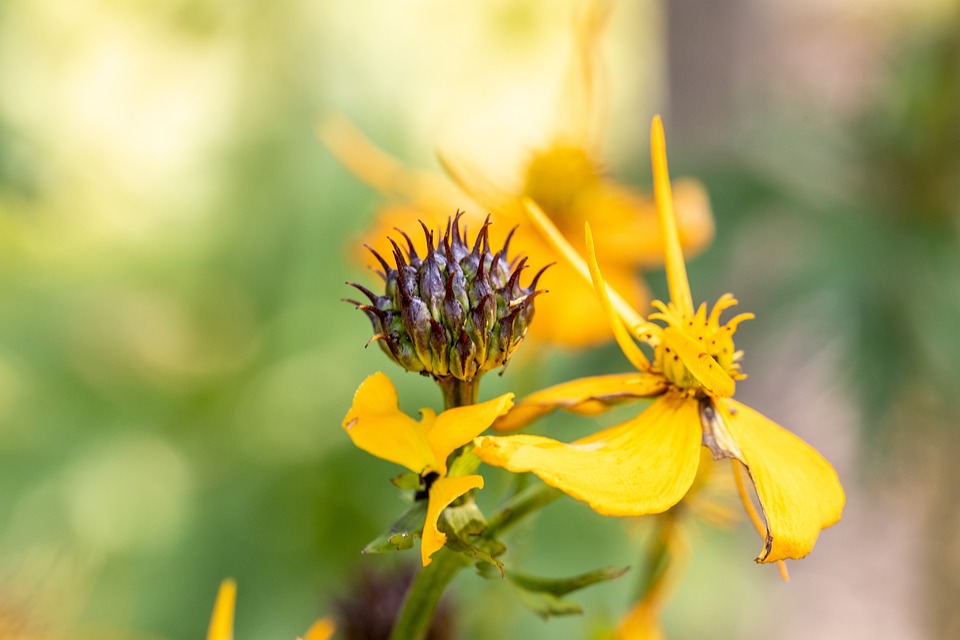 Villach vs. Völkermarkt: Kärntens Pkw-Motorisierung im Fokus