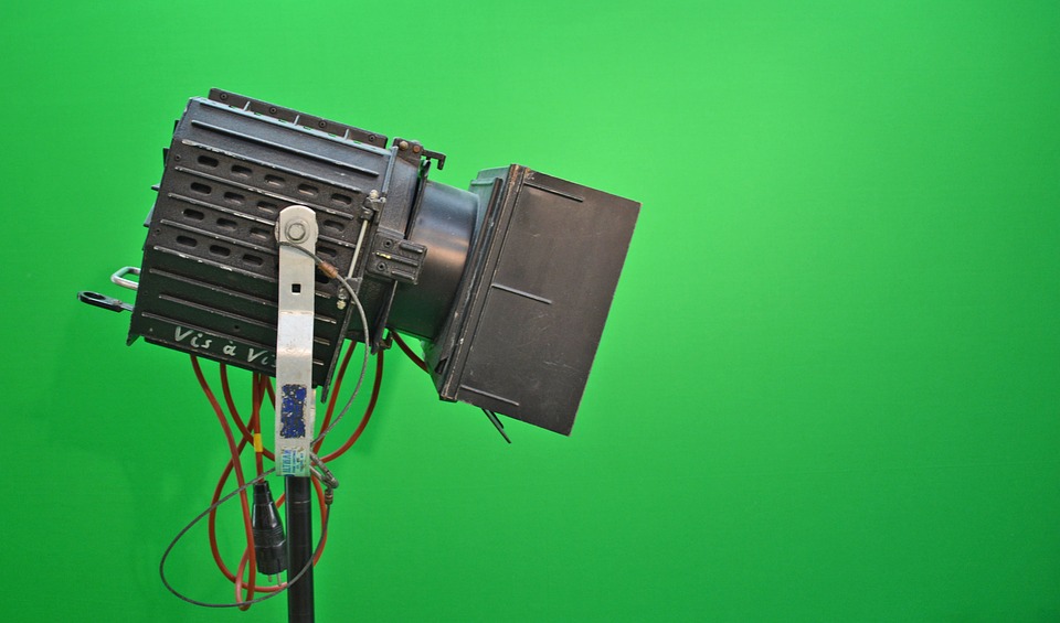 Von der Bühne zum Hundetraining: Katharina Reimann und ihre talentierte Sunny