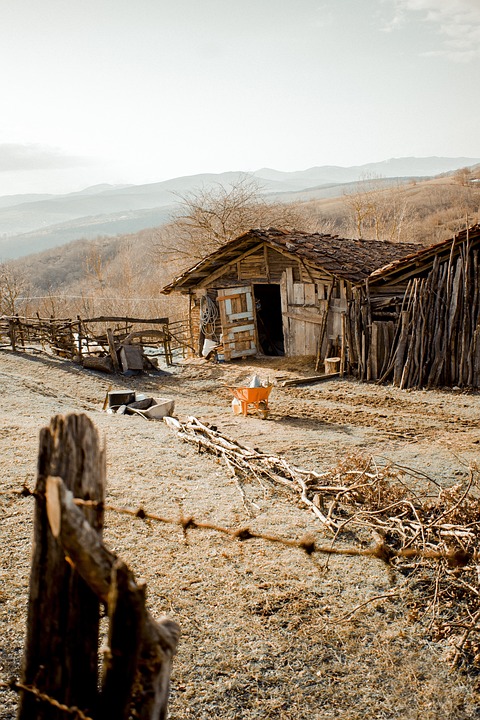Vorweihnachtliches Fest im Dietersdorfer Dorfhaus: Gemeinsam für den guten Zweck