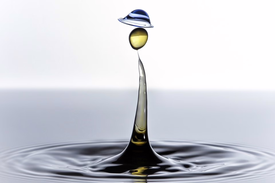 Wasser macht Schule: Köflacher Kids lernen den Wert des Lebenselixiers