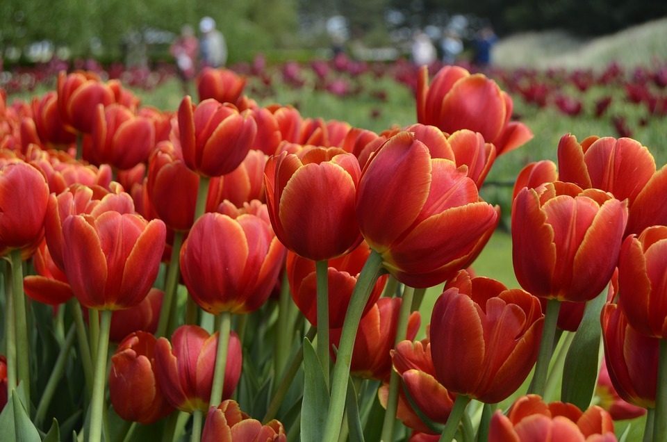 Weihbischof Turnovszky erlebt lebendige Begegnungen im Pfarrverband