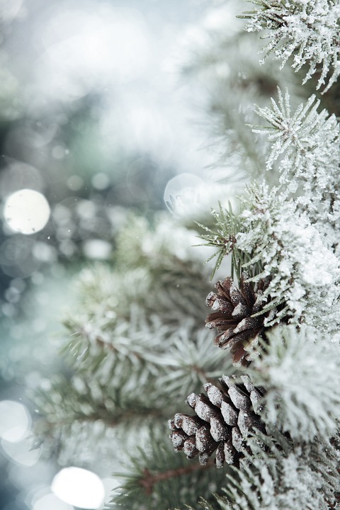 Weihnachtliche Kreativität: Insassen der JVA Feldkirch gestalten Adventmarkt