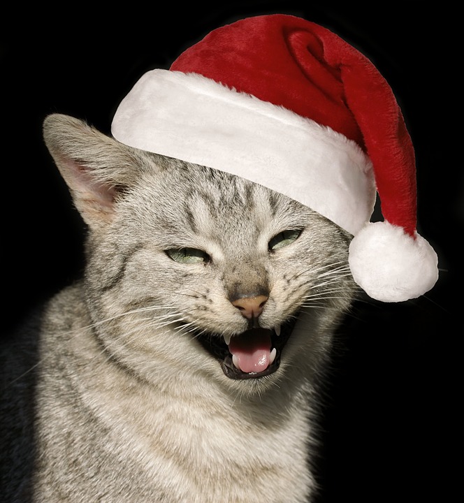 Weihnachtliche Stimmung und Genuss im Gleis//Garten erleben!