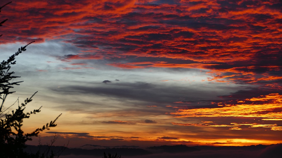 Weihnachtsfestnahme: Schauspiel der Eferdinger Gemeinde in der Kirche