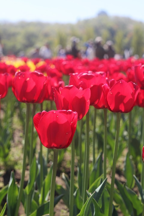 Weltraum-Rave in Salzburg: Ein einzigartiges Erlebnis für alle!