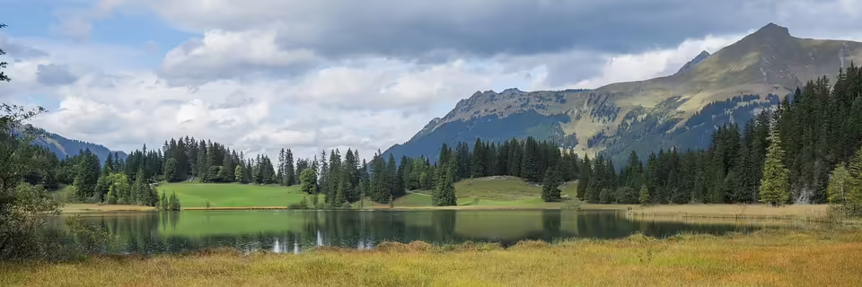Wendepunkt im Fall: Fluchtfahrzeug des Mörders entdeckt im Mühlviertel Waldstück
