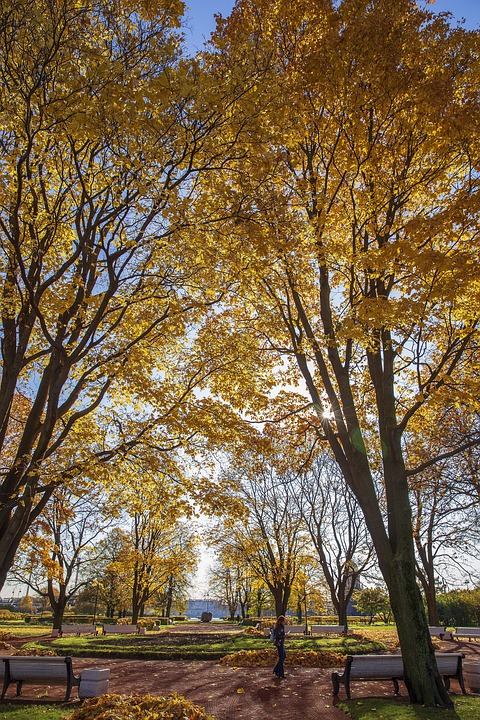 Wetterbericht für Wolfsberg: Kühle Tage und Schnee voraus!