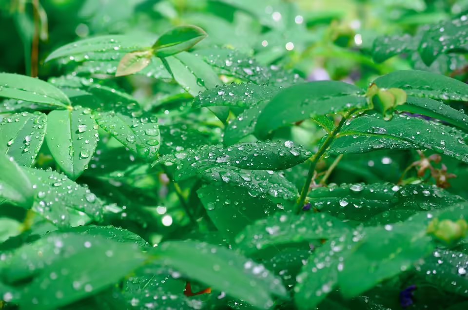 Wettervorhersage für Villach: Schauer und klare Tage im November!