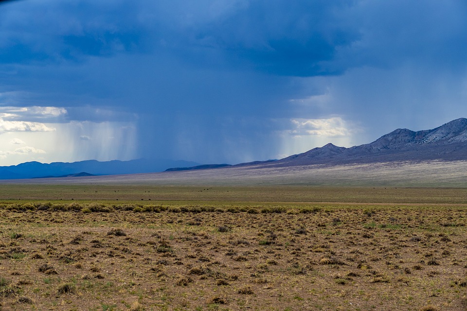 Wetterwarnung für Feldkirch: Sturm und Schnee in der KW 47 erwartet