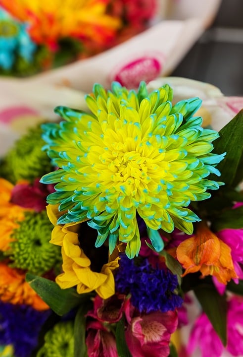 Wichtige Erste-Hilfe-Tipps für Mütter: Vortrag in Drosendorf