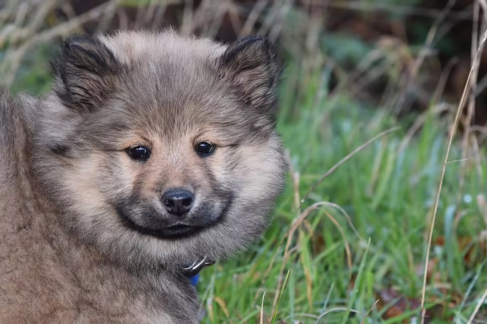 Wie Sie Ihr Benutzerkonto bei der Kleinen Zeitung aktivieren können